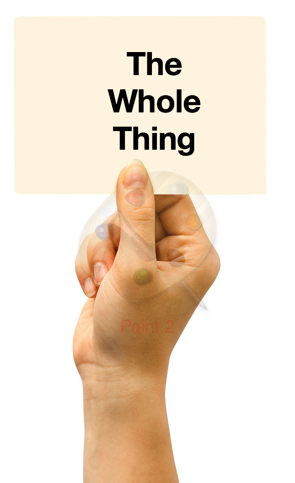 Holding the Whole Thing Holding the Whole Thing