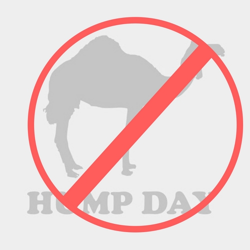 Not Just Hump Day Not Just Hump Day
