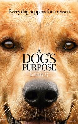 Non Standard Plots: A Dog’s Purpose Non Standard Plots: A Dog’s Purpose